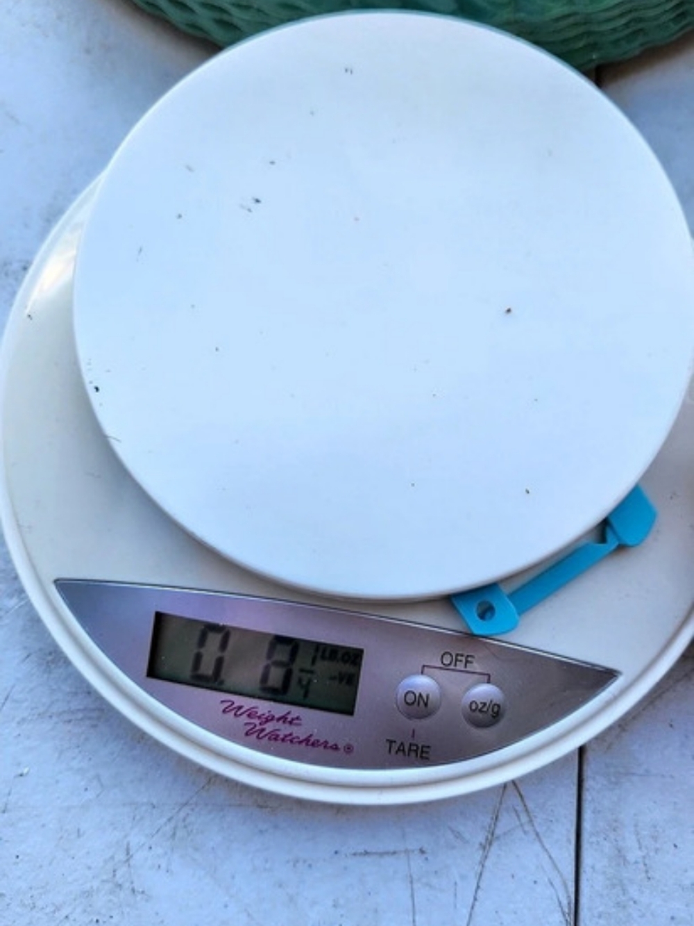 Taylor Digital Kitchen Scale White